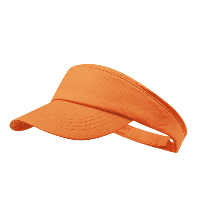 Visera