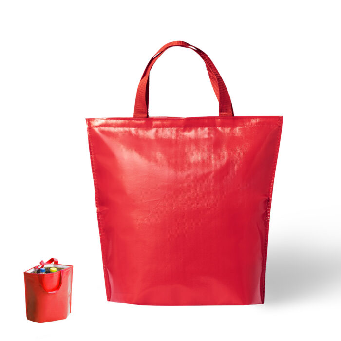 Bolsa Nevera