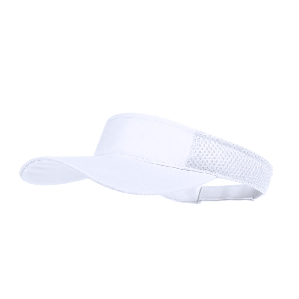Visera