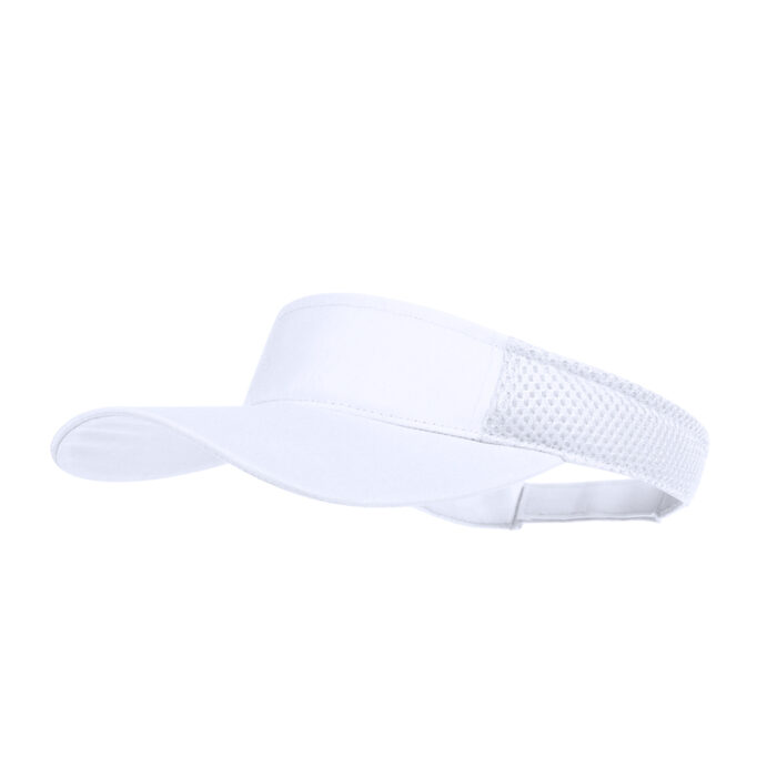 Visera
