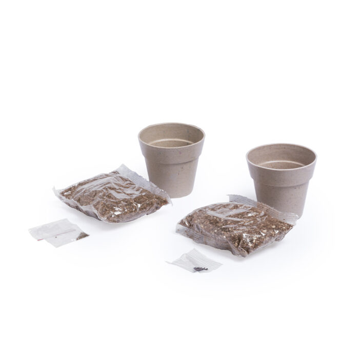 Set Macetas