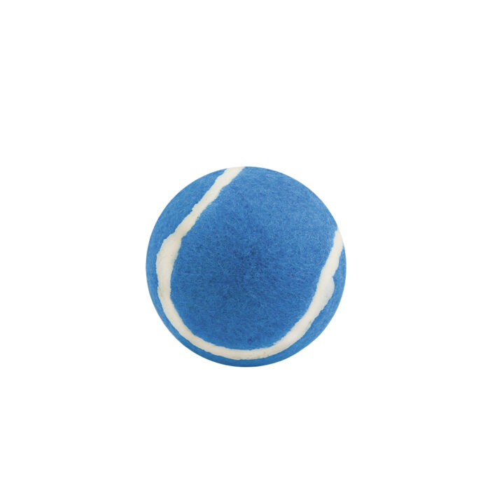Pelota
